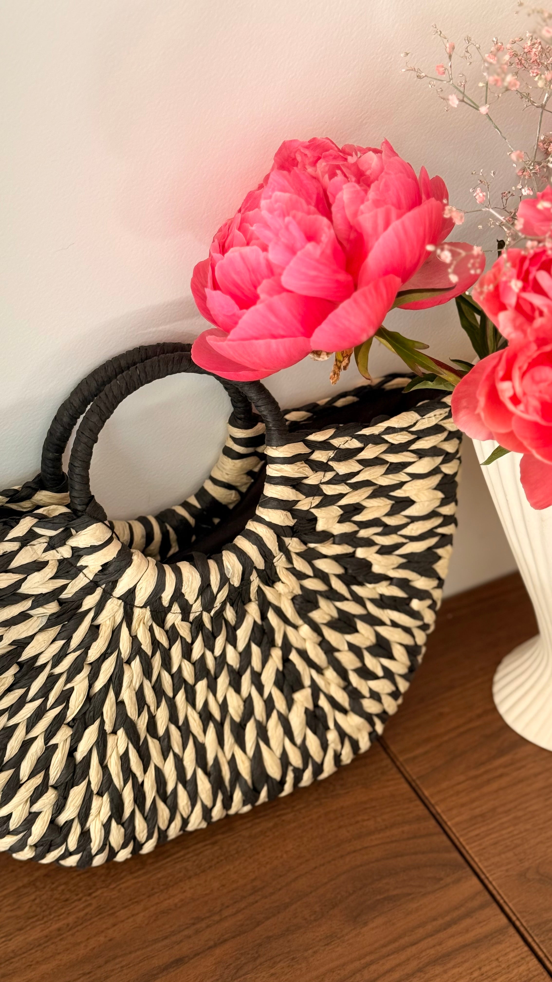 Sac ERINA